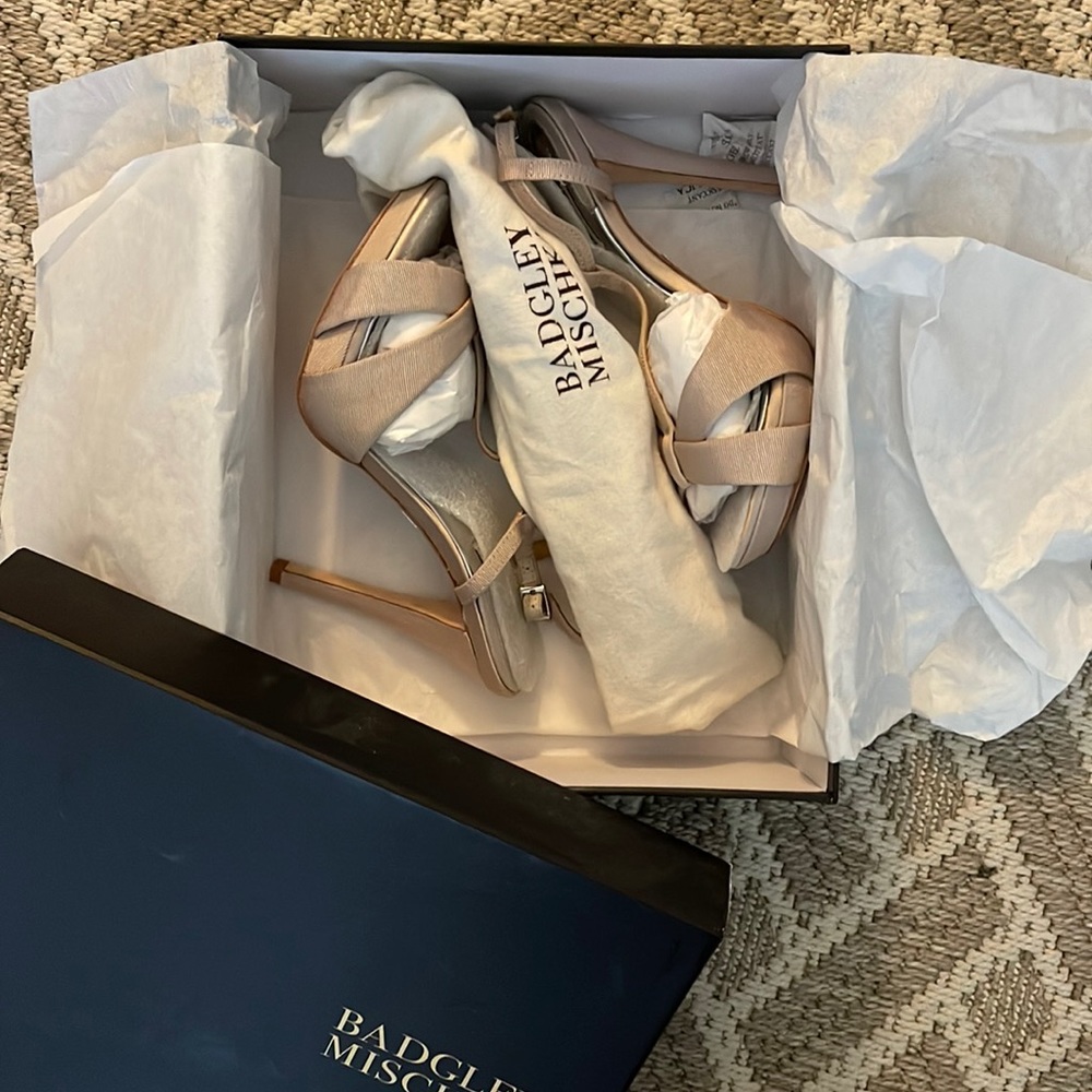 BADGLEY MISCHKA Indigo II stiletto heels sz 6